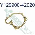 Picture of Water Pump Gasket