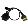 Picture of TEXA Car Lamborghini Cable