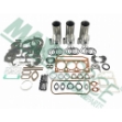 Picture of Major Overhaul Kit, Perkins G3.152 Gas Engine