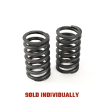 Picture of Intake & Exhaust Valve Spring