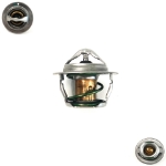 Picture of Thermostat - 160 Degree