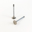 Picture of Exhaust Valve