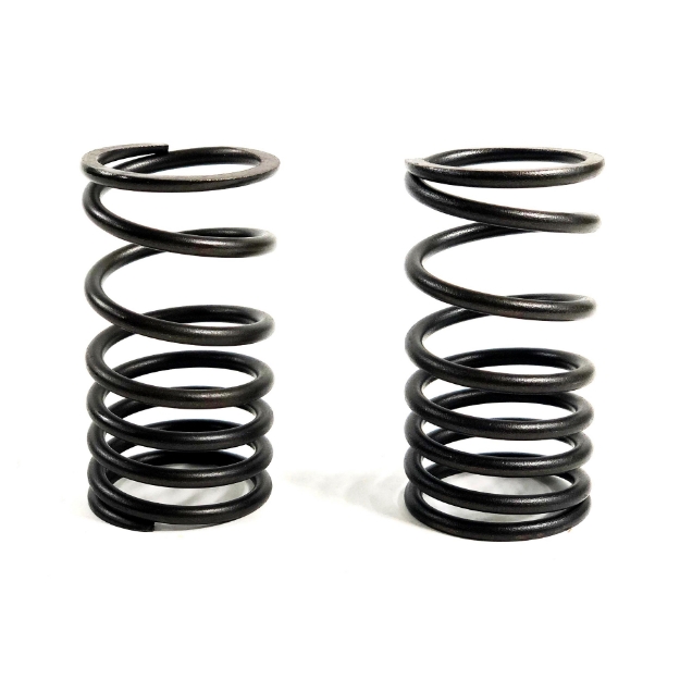 Picture of Outer Valve Spring