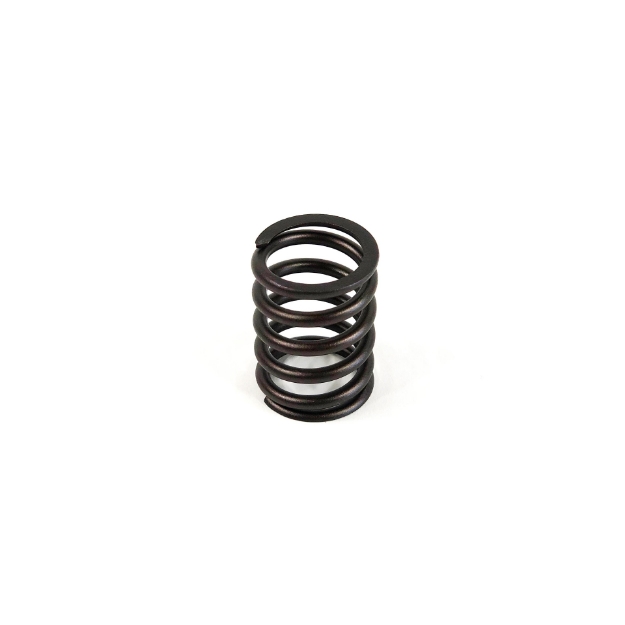 Picture of Valve Spring