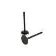 Picture of Intake Valve