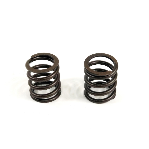 Picture of Valve Spring