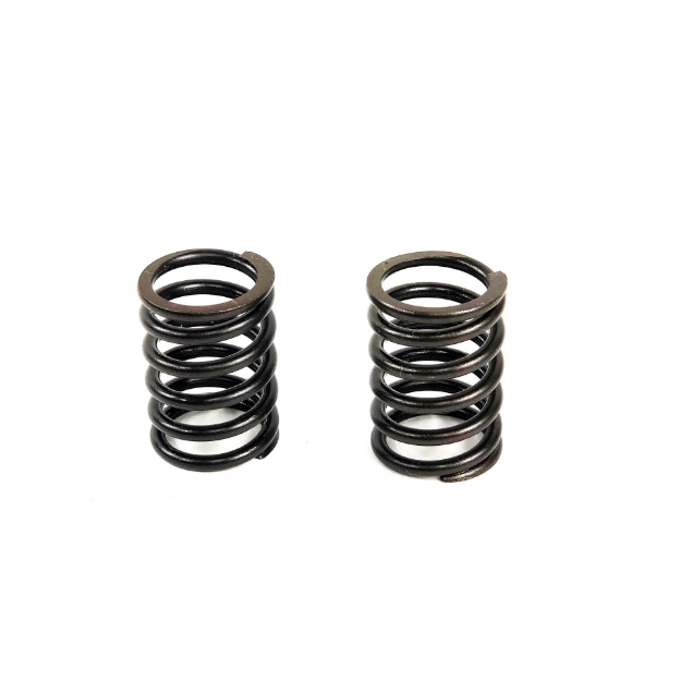 Picture of Valve Spring