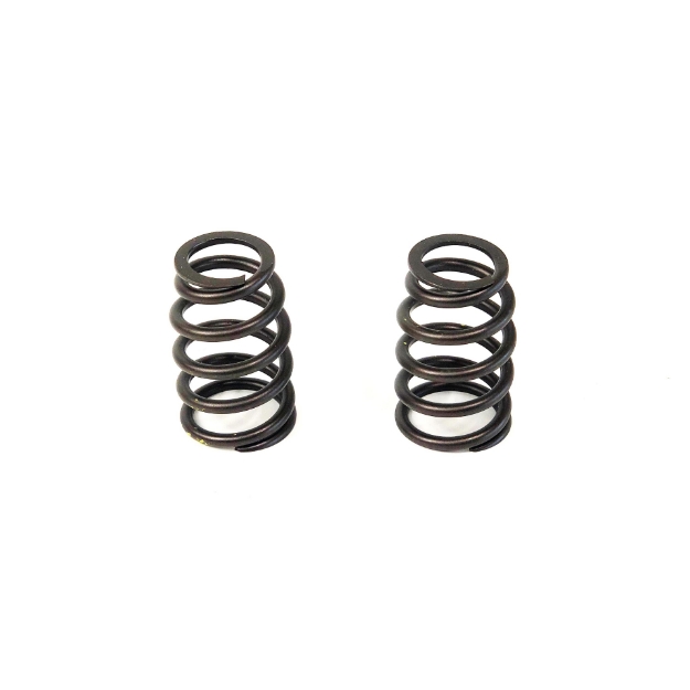 Picture of Valve Spring