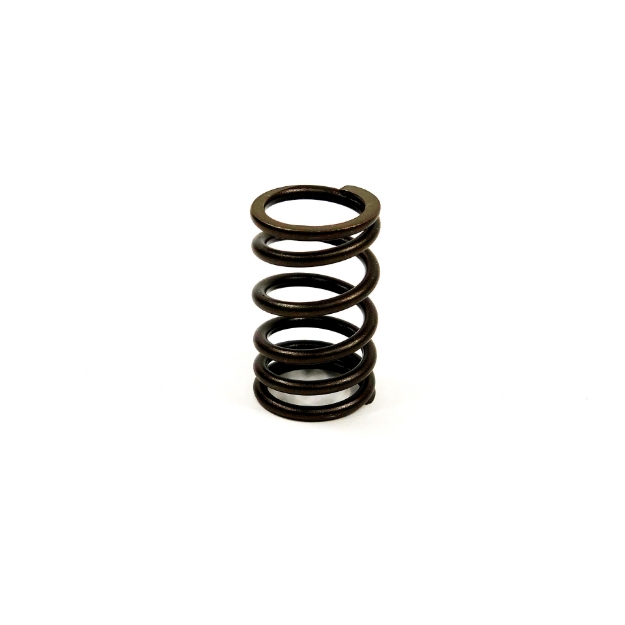 Picture of Valve Spring