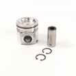 Picture of Piston, Std.