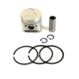 Picture of Piston & Ring Kit, Std.