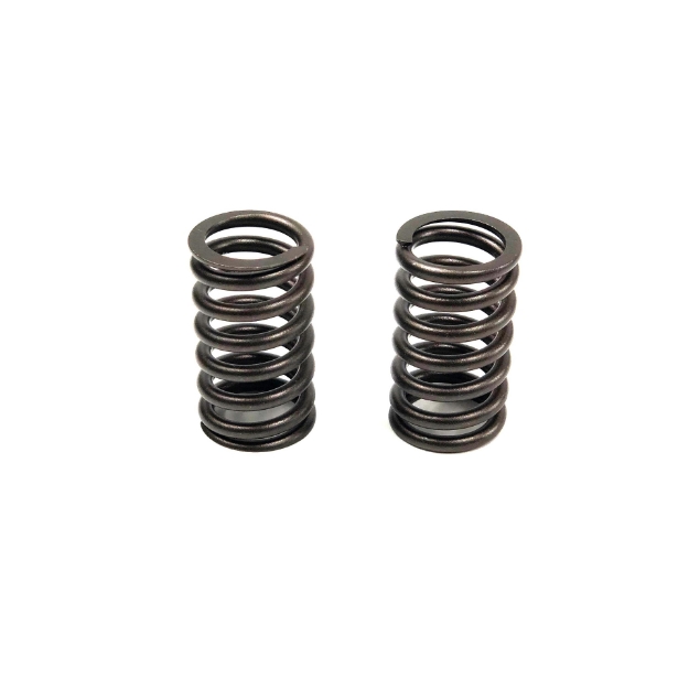 Picture of Valve Spring