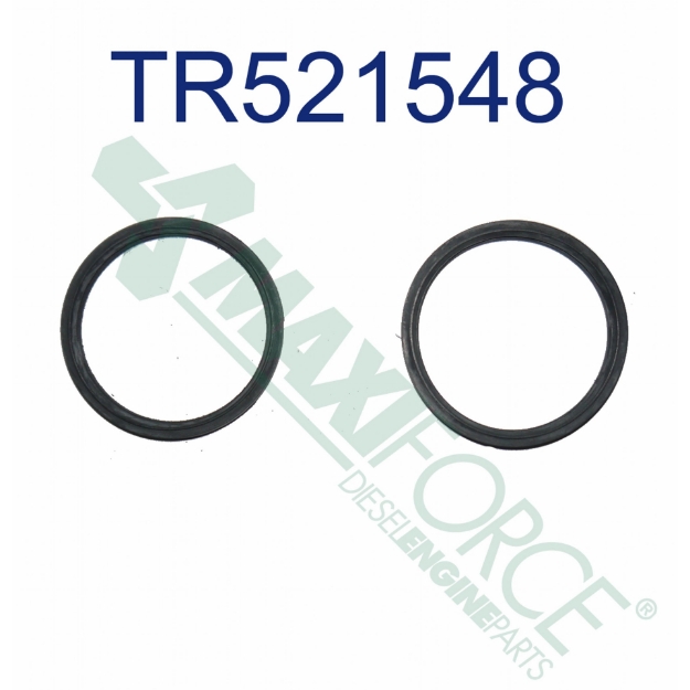 Picture of Thermostat Seal