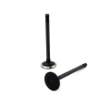 Picture of Intake Valve