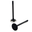 Picture of Intake Valve