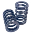 Picture of Valve Spring