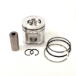 Picture of Piston & Ring Kit, Standard