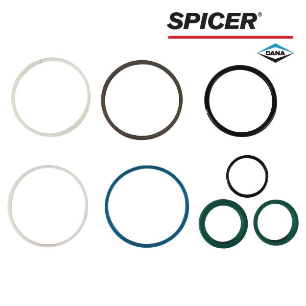 Picture of Dana/Spicer Steering Cylinder Seal Kit, MFD