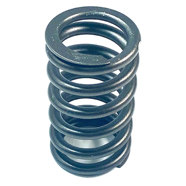 Picture of Valve Spring