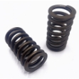 Picture of Valve Spring