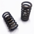Picture of Valve Spring