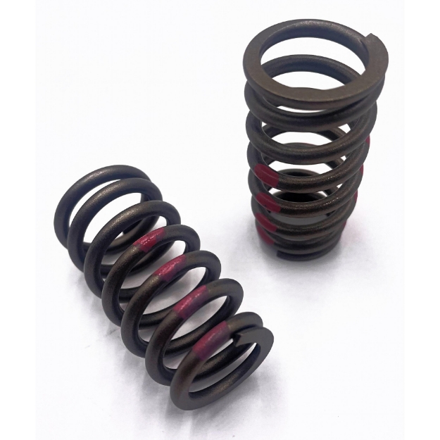 Picture of Valve Spring, Pink Stripe