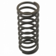 Picture of Valve Spring