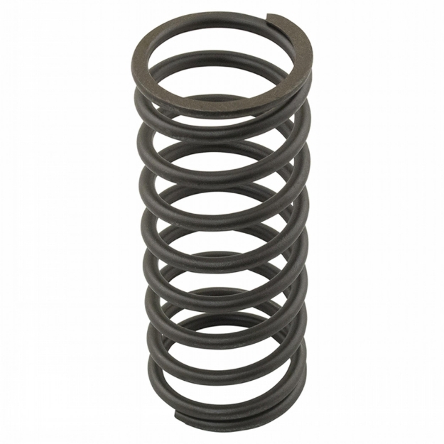 Picture of Valve Spring