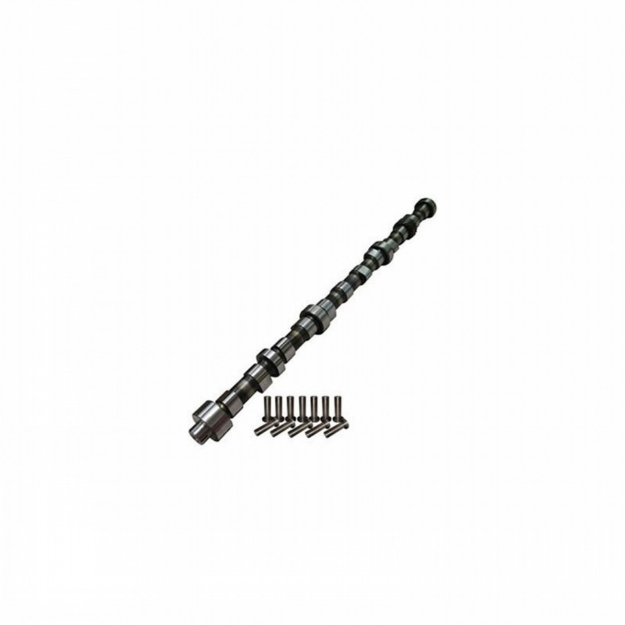 Picture of Camshaft & Lifter Kit