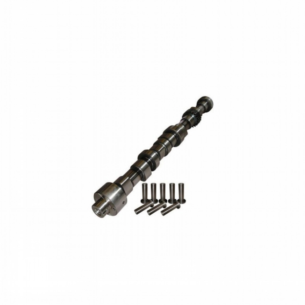 Picture of Camshaft & Lifter Kit, w/ Oil Pump Drive Gear