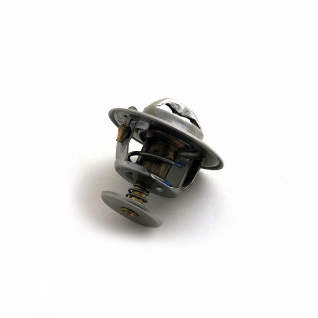 Picture of Thermostat, 180 Degree