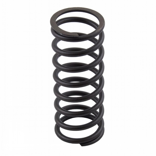 Picture of Valve Spring