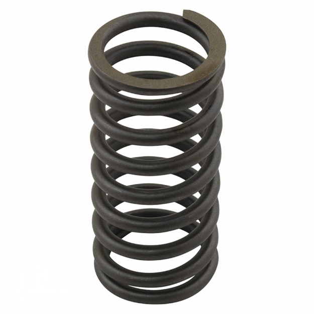 Picture of Valve Spring