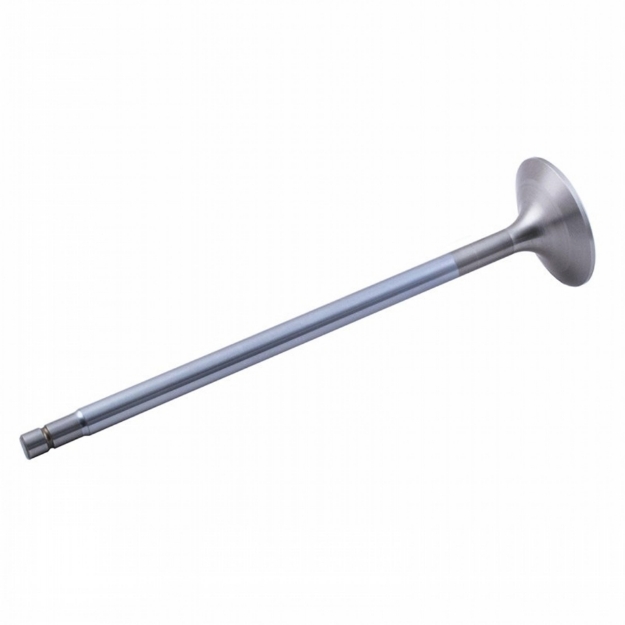 Picture of Intake & Exhaust Valve