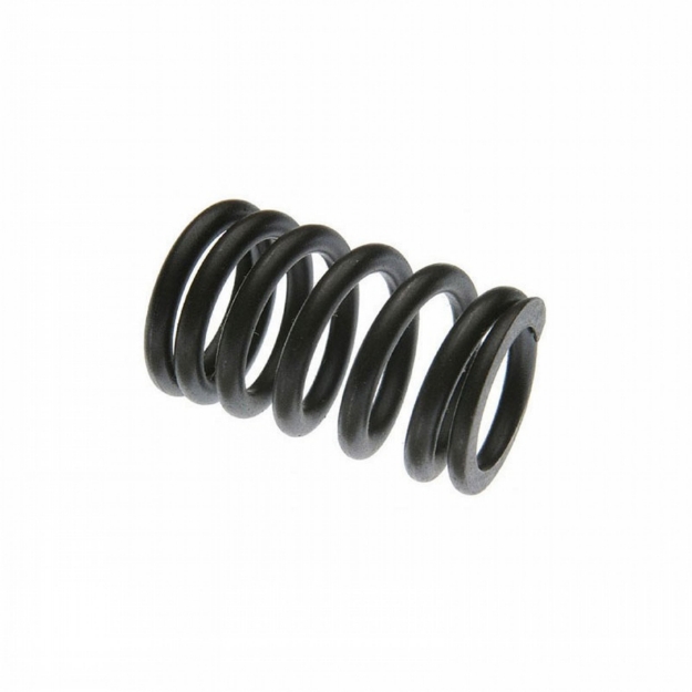 Picture of Valve Spring