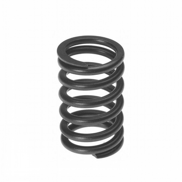 Picture of Valve Spring