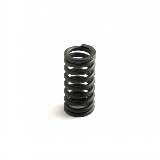 Picture of Valve Spring