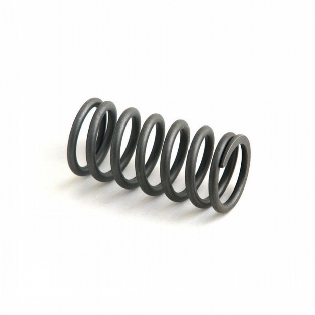 Picture of Inner Valve Spring