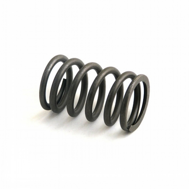 Picture of Outer Valve Spring