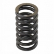 Picture of Valve Spring