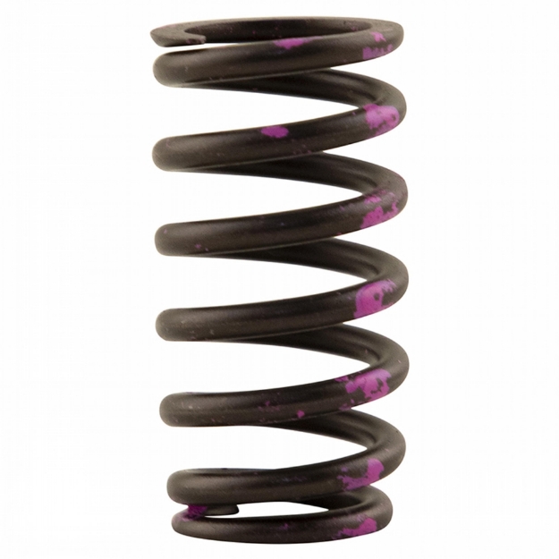 Picture of Valve Spring