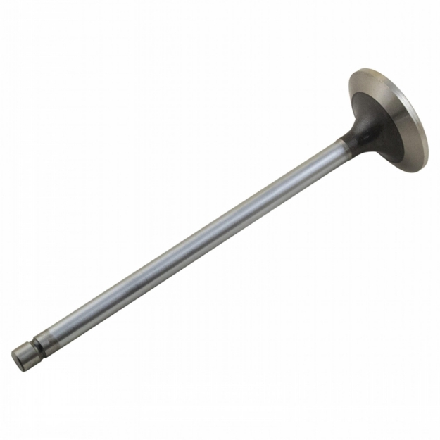 Picture of Exhaust Valve