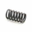 Picture of Valve Spring