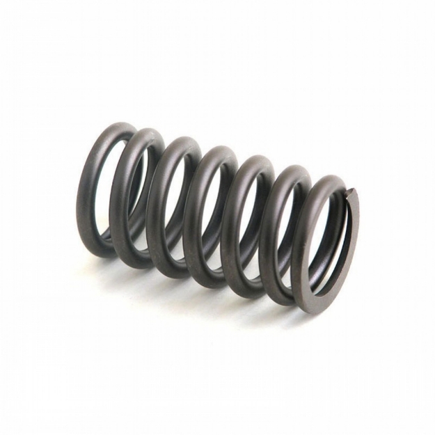 Picture of Valve Spring