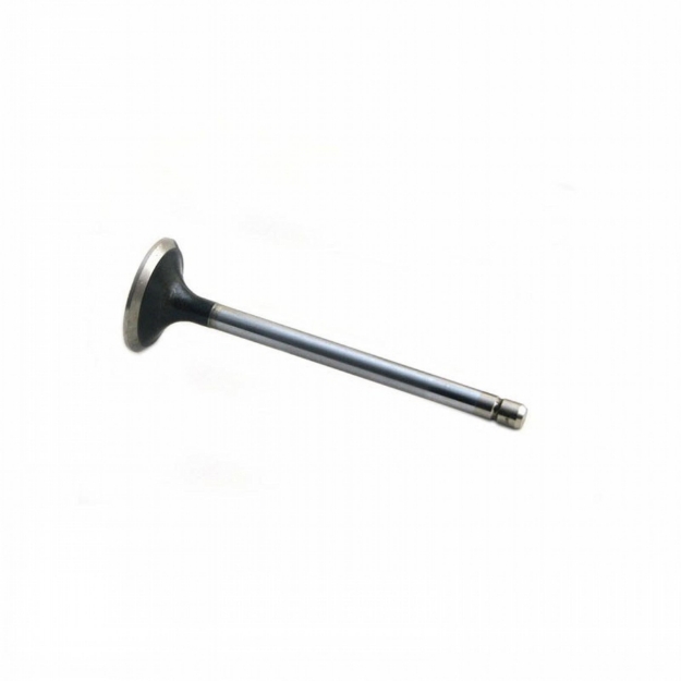 Picture of Exhaust Valve