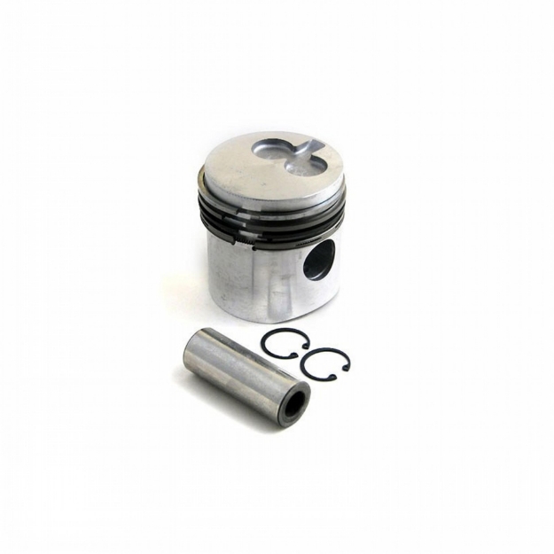 Picture of Piston & Rings, Standard