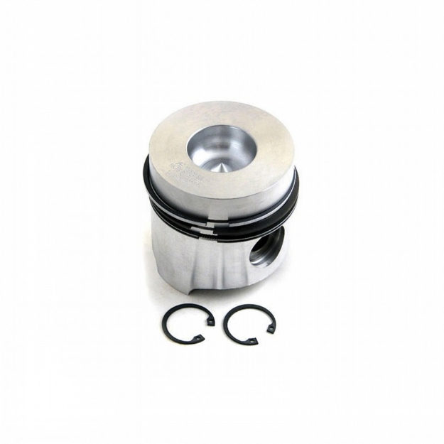 Picture of Piston & Rings, Standard