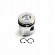 Picture of Piston & Rings, Standard