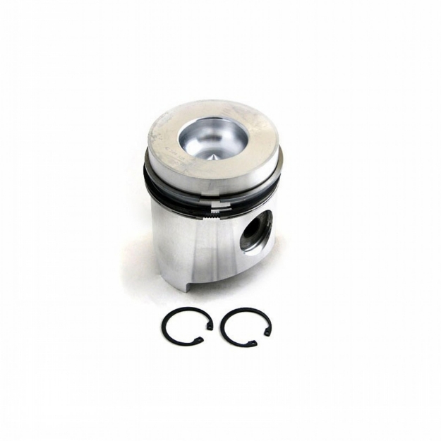 Picture of Piston & Rings, Standard