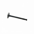 Picture of Intake Valve